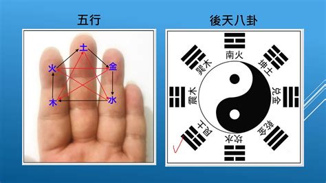 文王卦課程|文王卦六爻理法初級課程